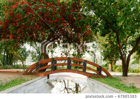 A small arch bridge over decorated canal pond  67885383
