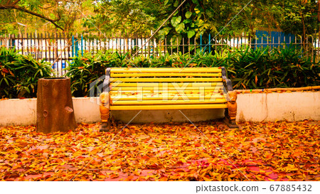 Park bench with golden falken leaves  67885432
