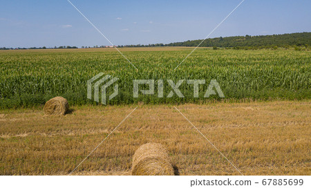 Aerial view: flying over the green cornfield and haystacks Aerial view: flying over the green cornfield and haystacks 67885699
