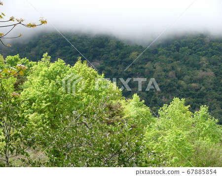 Beautiful landcape around Yushan National Park 67885854