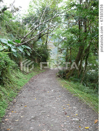 Beautiful landcape around Yushan National Park 67885856
