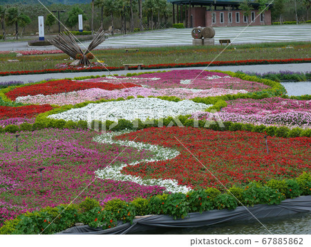 Many flower blossom on the farm 67885862