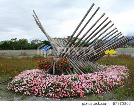 Many flower blossom on the farm 67885863