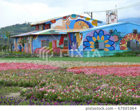 Many flower blossom on the farm 67885864
