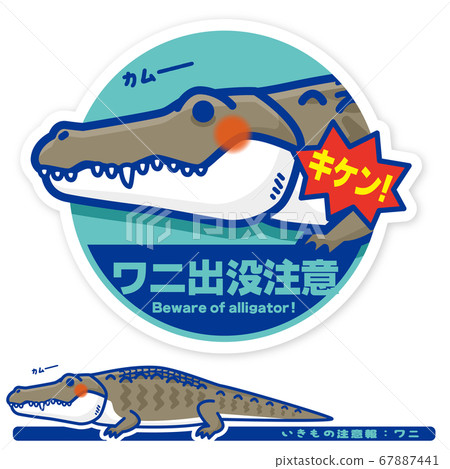Creature Warning: Crocodile (Alligator) Haunting Warning Sign 67887441