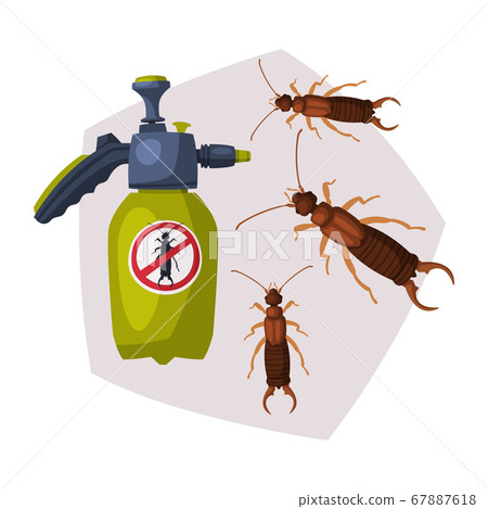 Sprayer Bottle of Diplura Harmful Insect Insecticide, Pest Control Service, Detecting and Exterminating Insects Vector Illustration 67887618