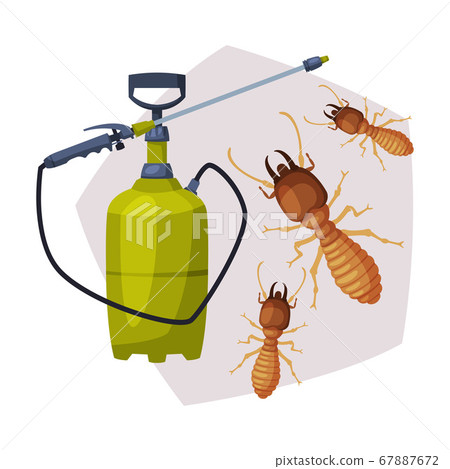Sprayer Bottle of Termite Insect Insecticide, Pest Control Service, Detecting and Exterminating Insects Vector Illustration Sprayer Bottle of Termite Insect Insecticide, Pest Control Service, Detecting and Exterminating Insects Vector Illustration 67887672
