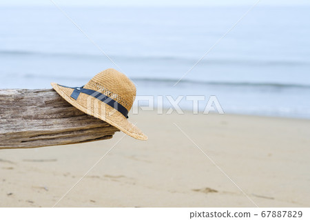 Sea, driftwood and straw hat 67887829