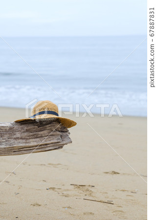 Sea, driftwood and straw hat 67887831