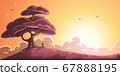 Big Tree at Sunset 67888195