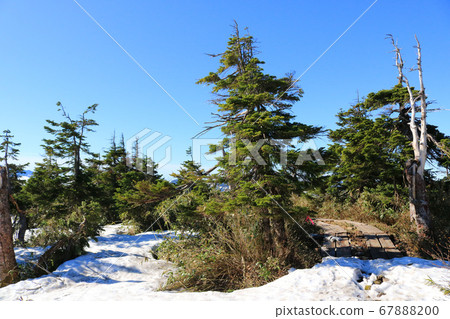 八man平自然探索路，菊下路 67888200