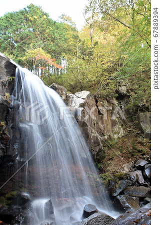 To木縣矢田市Akataki縣森林 67889394