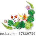 Composition with flowers, leaves and abstract elements. Design for your poster, banner, flyer. 67889739