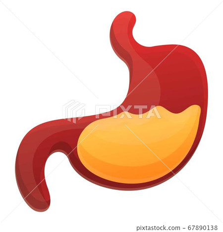 Healthy stomach icon, cartoon style 67890138