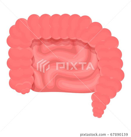 Healthy intestine icon, cartoon style 67890139