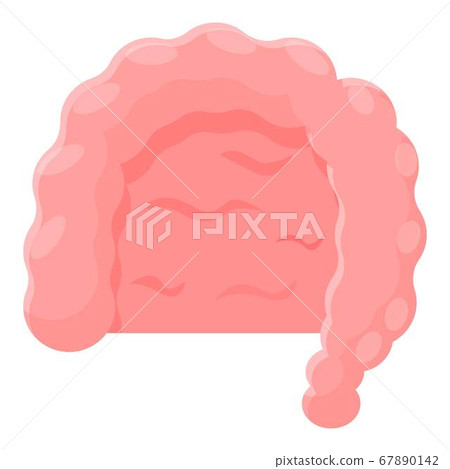 Intestine icon, cartoon style 67890142