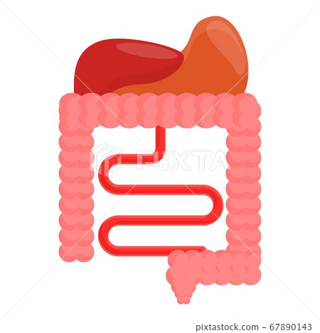 Digestion system icon, cartoon style Digestion system icon, cartoon style 67890143