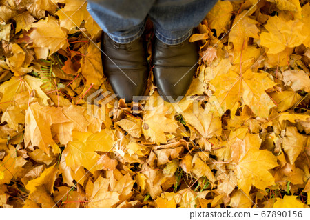 Fall, autumn, leaves, legs and shoes. Conceptual Fall, autumn, leaves, legs and shoes. Conceptual 67890156