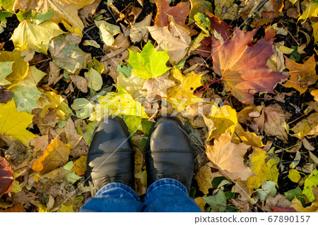 Fall, autumn, leaves, legs and shoes. Conceptual 67890157