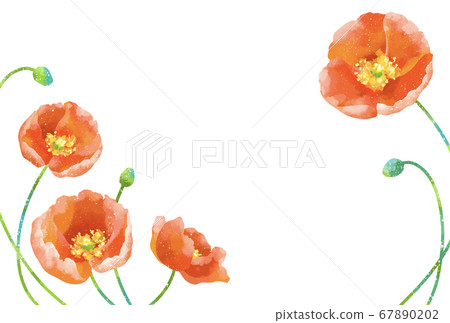 輕柔的罌粟的框架插圖 67890202