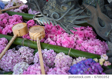 Flower water of Yangtani Temple 67891052