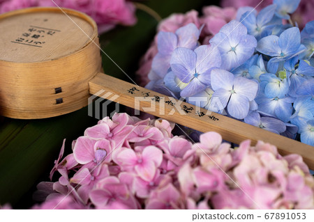 Flower water of Yangtani Temple 67891053