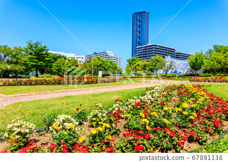 Island City Central Park [Higashi Ward, Fukuoka City] 67891138