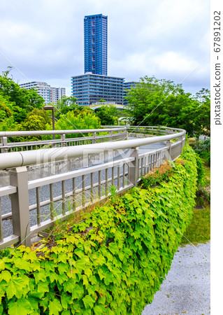 島市中央公園[福岡市東區] 67891202