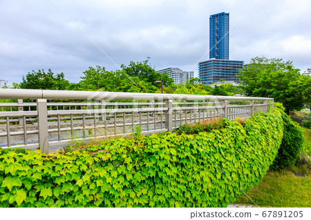 Island City Central Park [Higashi Ward, Fukuoka City] 67891205