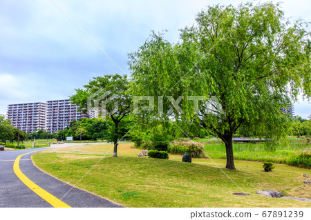 島市中央公園[福岡市東區] 67891239
