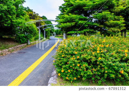 Island City Central Park [Higashi Ward, Fukuoka City] 67891312