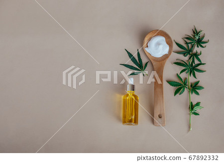 Glass bottle and dropper CBD OIL, THC tincture and cannabis leafs on pastel background. Laboratory Production of cosmetics with CBD oil. 67892332