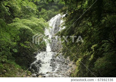 Izu Peninsula in search of coolness 67892336