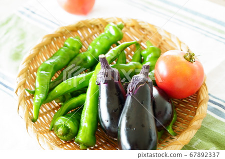 Summer vegetable 67892337