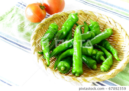 Fresh summer vegetables Akanaga chili 67892359