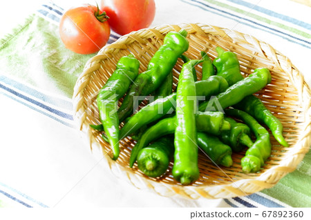 Freshly picked shiny summer vegetables chili peppers Freshly picked shiny summer vegetables chili peppers 67892360