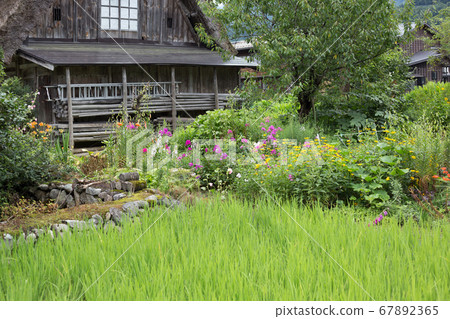 Shirakawa-go, a world heritage village in Japan Shirakawa-go, a world heritage village in Japan 67892365