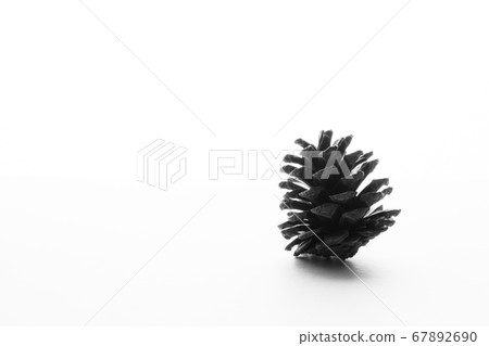 Pinecone Pinecone 67892690