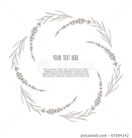 Beautiful vector hand drawn lavender tea herb Illustration. Sketch element for labels, packaging and cards design. 67894142