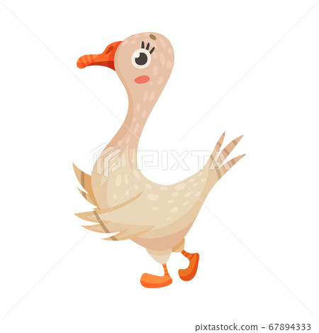 Feathered Goose as Farm Bird Walking in Yard Vector Illustration 67894333