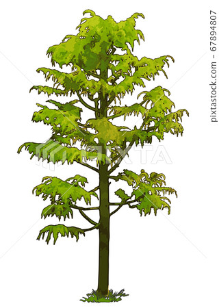 conifers clipart house