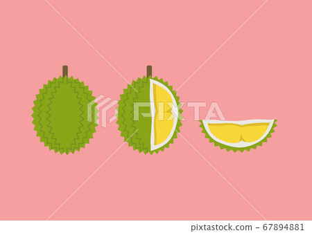 Durian with cut piece set in flat style 67894881