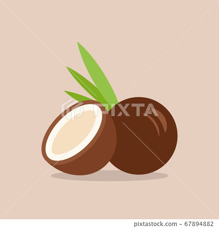Coconut icon in flat style Coconut icon in flat style 67894882