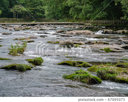 宮崎縣宮古城城關野坑洞小組 67895073