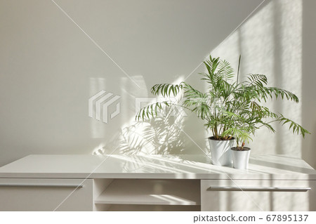 Stylish interior desk with green houseplants and shadows on the wall. 67895137