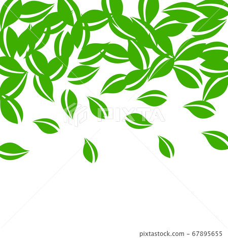 Falling green leaves. Fresh tea neat leaves flying 67895655
