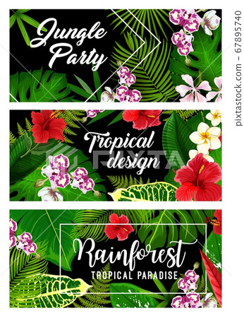 Tropical leaf, palm jungle flowers summer paradise 67895740