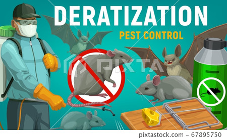 Deratization pest control, extermination service 67895750