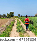 沿著濟州奧萊步道（Jeju Olle Trail）漫步的遊客 67895836
