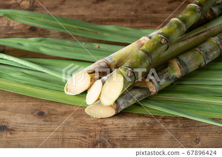 Okinawa Prefecture sugar cane 67896424